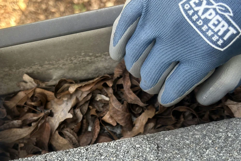 Gutter Cleaning Overland, MO